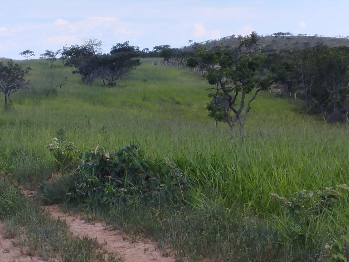 Fazenda, Zona Rural, 3 Quartos, 0 Vaga