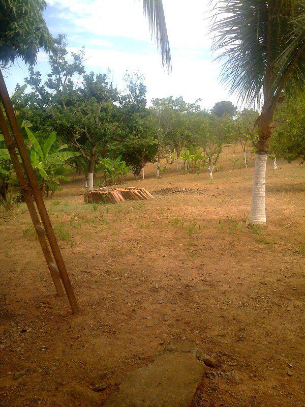 Fazenda, Centro, 5 Quartos, 5 Vagas, 1 Suíte