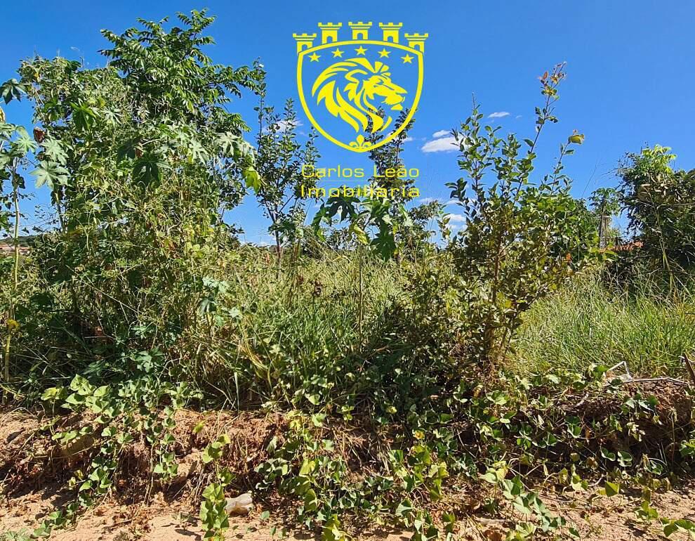 Lote, Centro, 0 Quarto, 0 Vaga