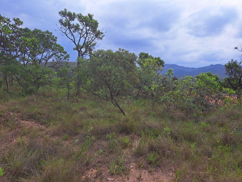 Lote, Arraial Velho, 0 Quarto, 0 Vaga