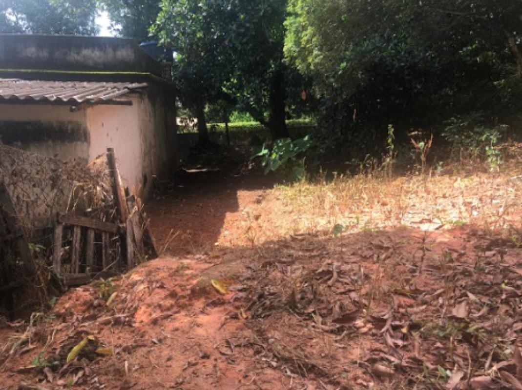 Lote, Borges, 0 Quarto, 20 Vagas