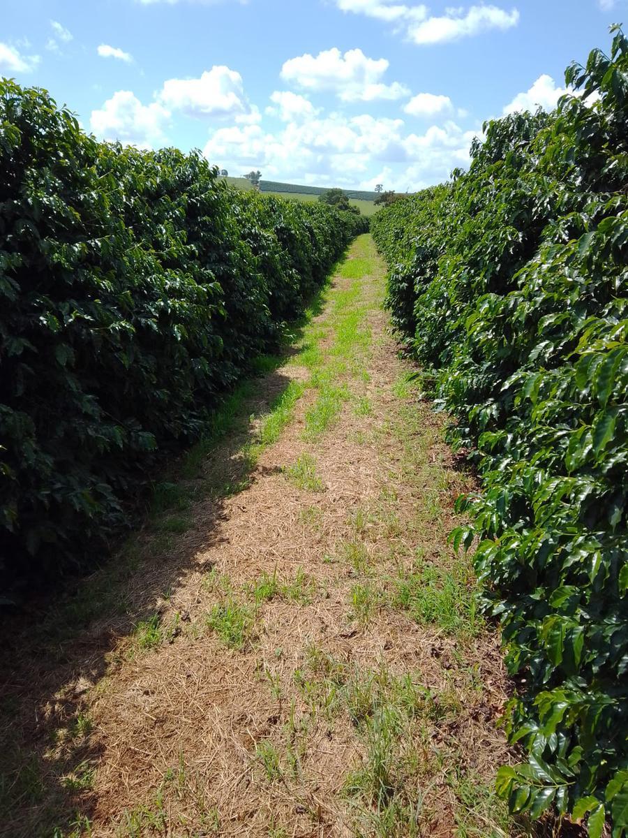 Fazenda, Zona Rural, 4 Quartos, 0 Vaga
