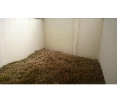 Casa, Santa Amélia, 2 Quartos, 1 Vaga, 2 Suítes