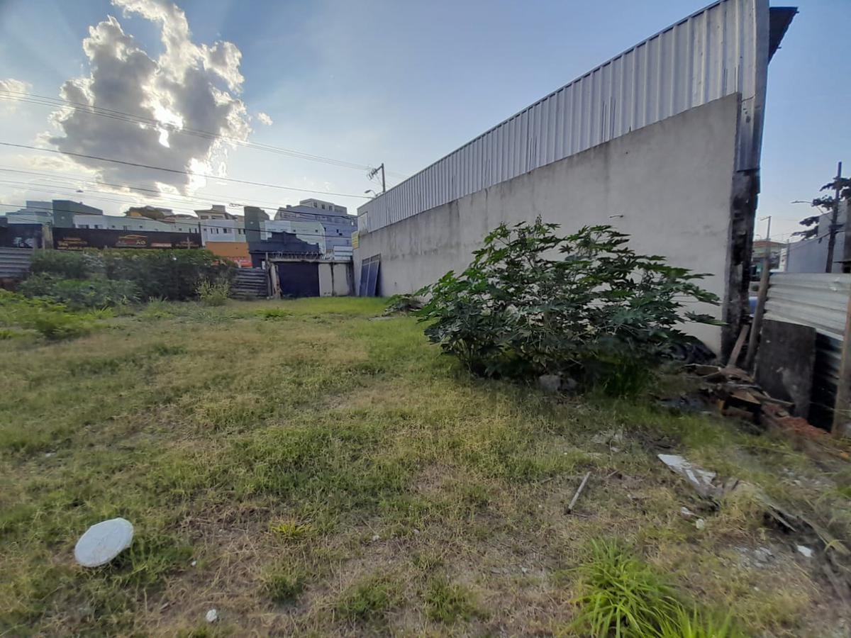 Lote, Floresta, 0 Quarto, 0 Vaga
