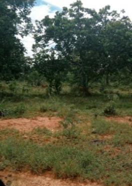 Fazenda, Zona Rural, 3 Quartos, 0 Vaga