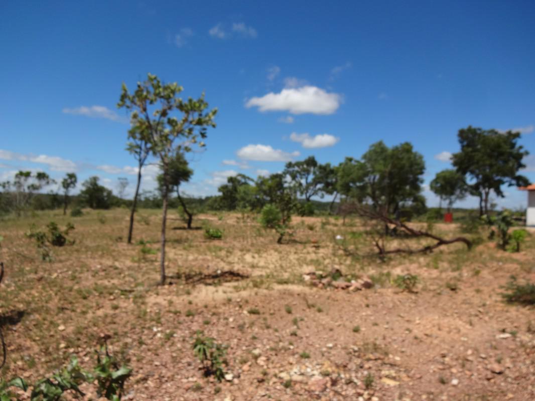Fazenda, Zona Rural, 1 Quarto, 0 Vaga, 1 Suíte