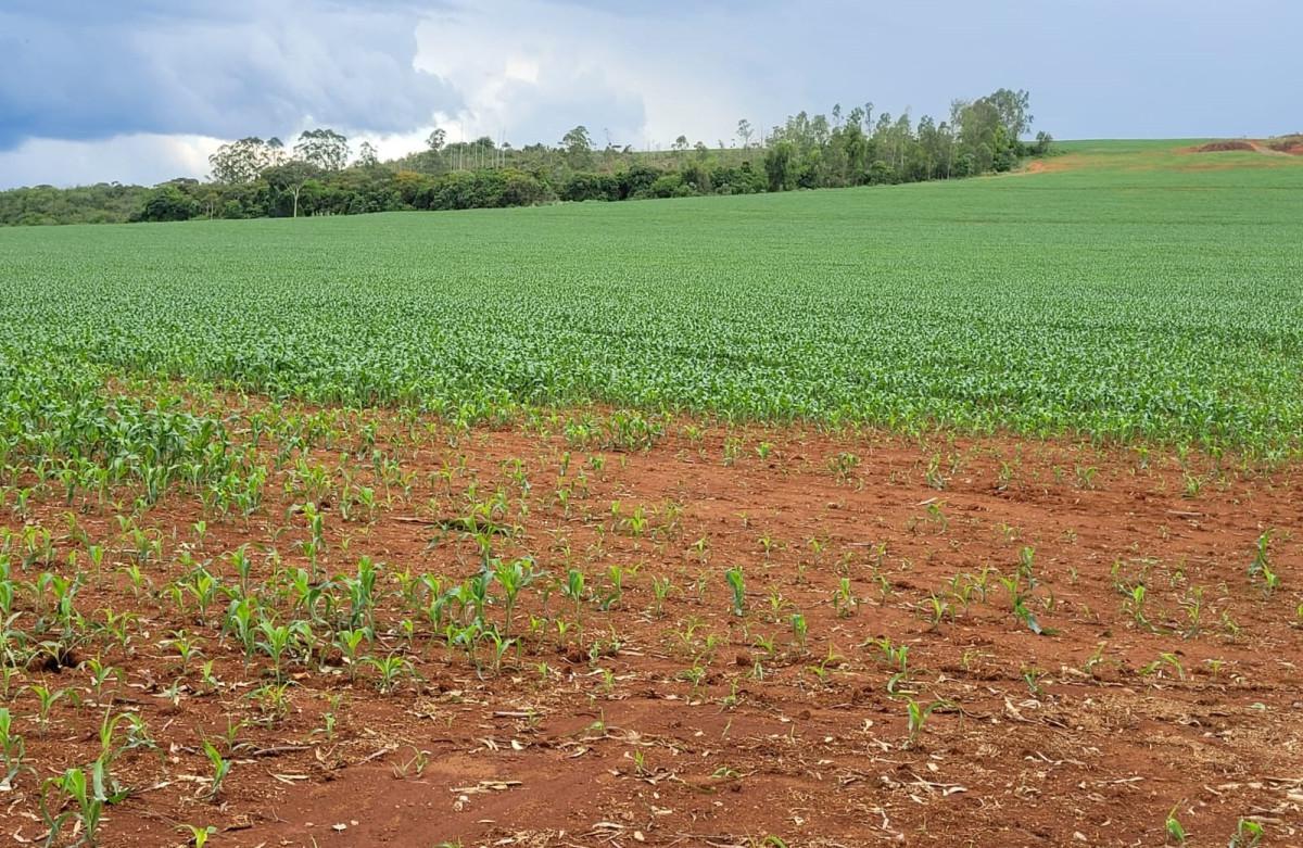 Fazenda, Zona Rural, 0 Quarto, 0 Vaga