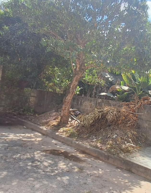 Lote, São Jorge, 0 Quarto, 0 Vaga
