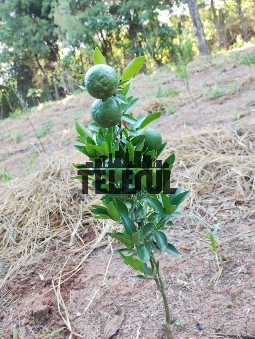 Fazenda, Parque Mariela, 0 Quarto, 0 Vaga