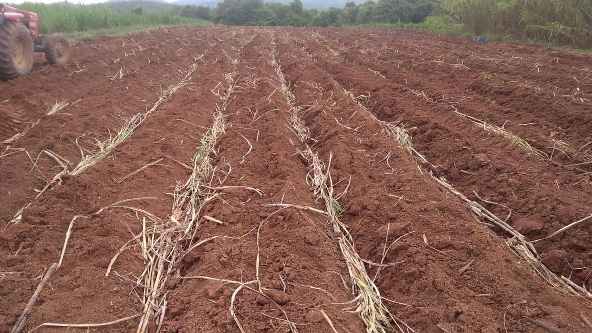 Fazenda, Zona Rural, 4 Quartos, 2 Vagas