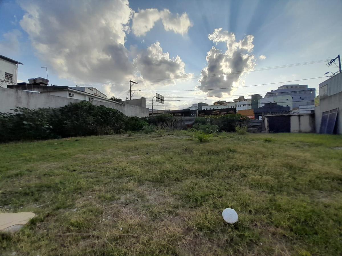 Lote, Floresta, 0 Quarto, 0 Vaga