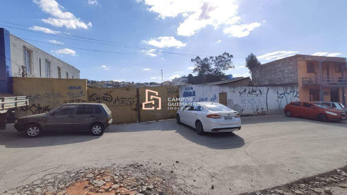 Lote, Ipê
