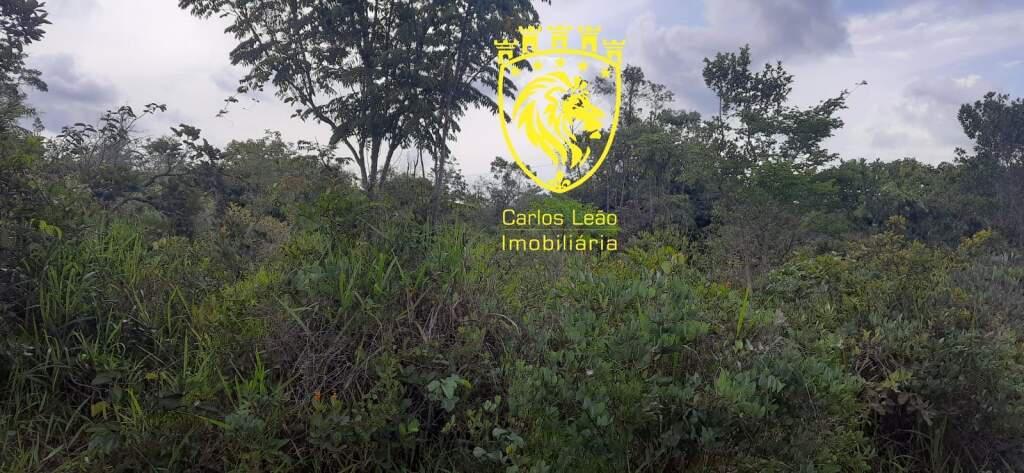 Fazenda, Centro, 0 Quarto, 0 Vaga
