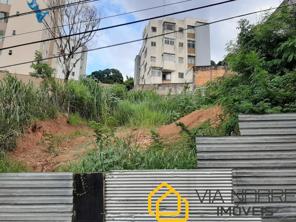 Lote, Nova Suíssa