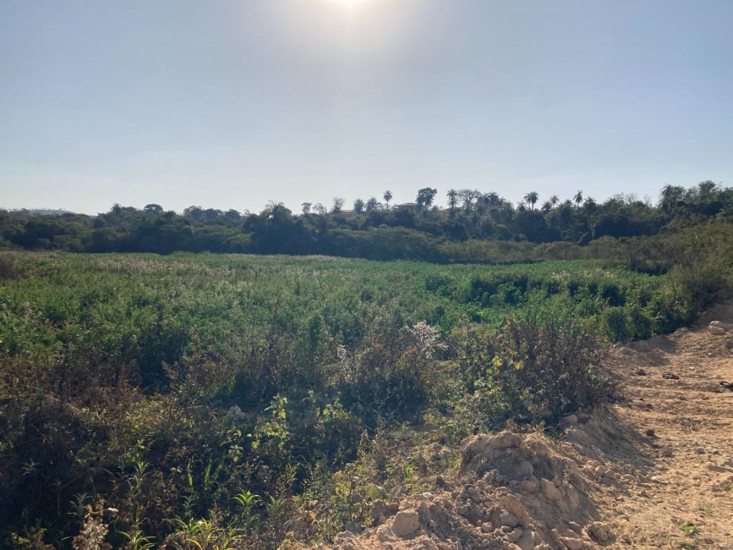Lote, Santinho, 0 Quarto, 0 Vaga