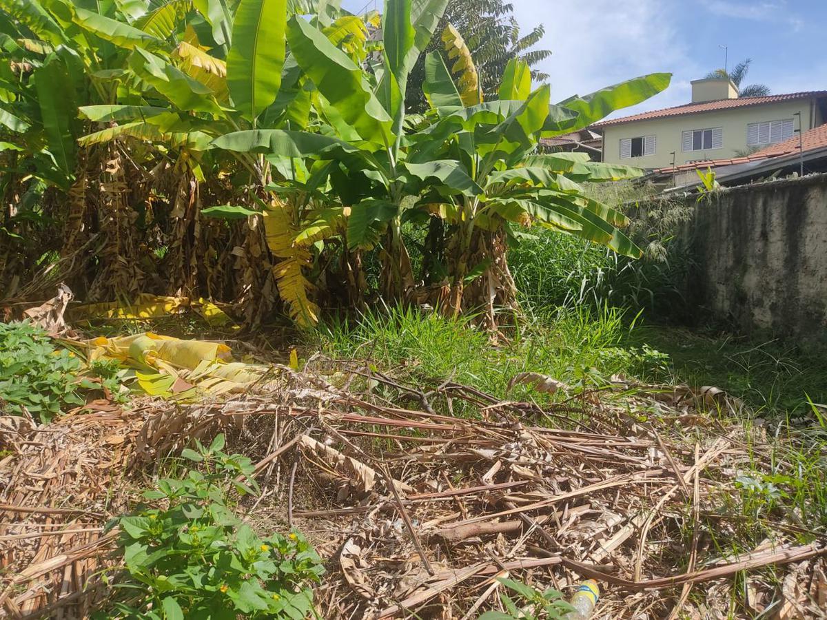 Lote, Palmares, 0 Quarto, 0 Vaga
