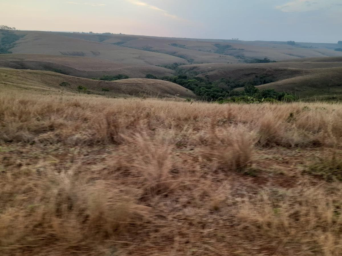 Fazenda, Zona Rural, 0 Quarto, 0 Vaga