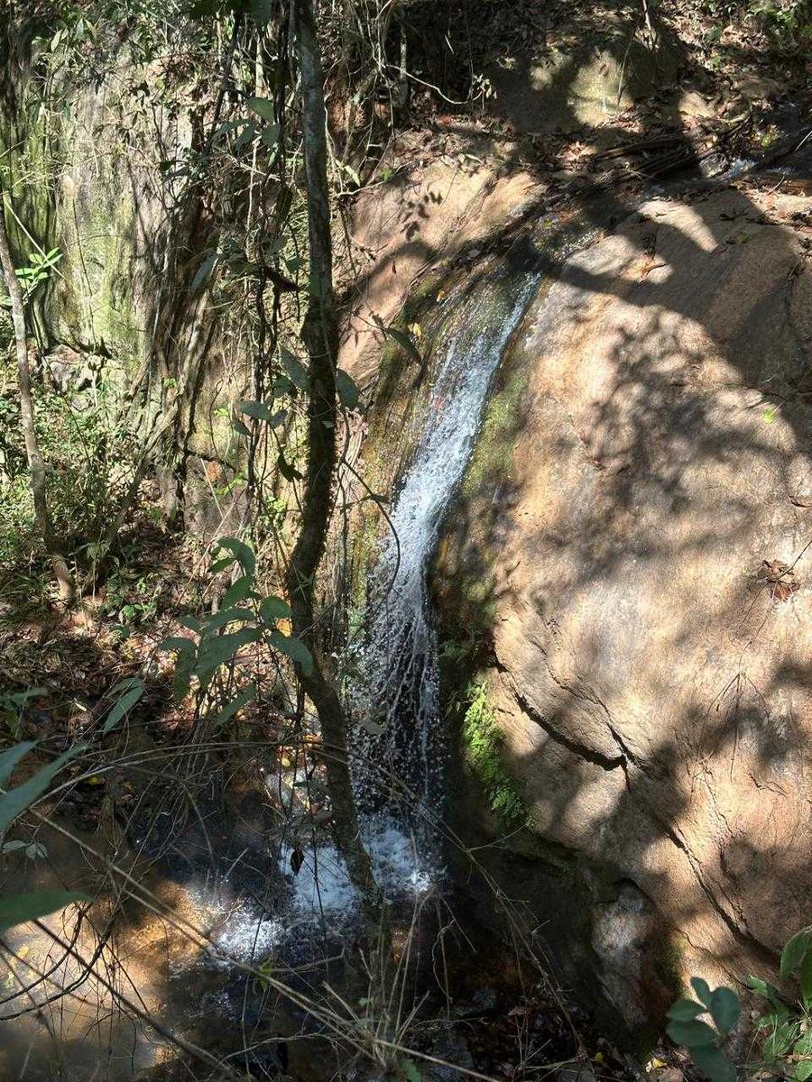 Fazenda, Zona Rural, 0 Quarto, 0 Vaga