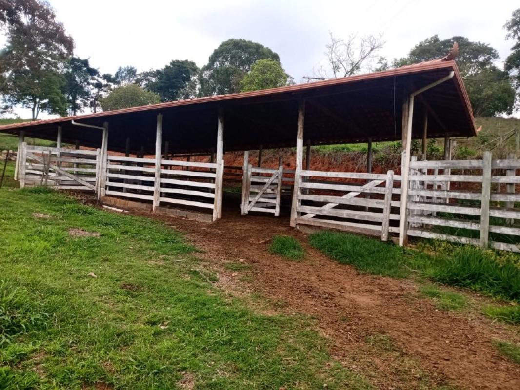Fazenda, Centro, 0 Quarto, 0 Vaga