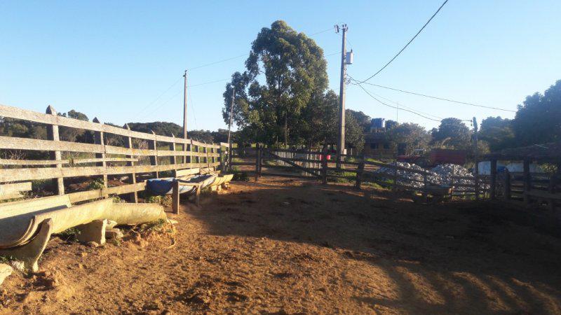 Fazenda, Centro, 0 Quarto, 0 Vaga