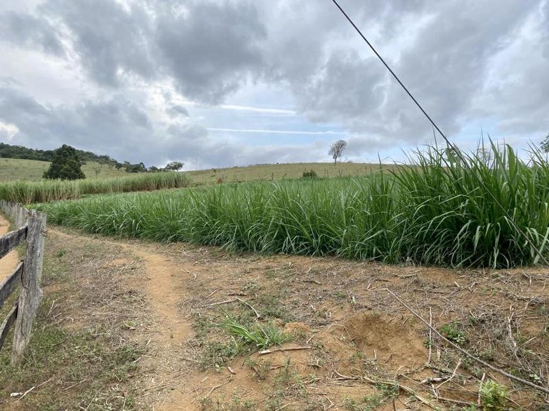 Fazenda, 4 Quartos, 1 Suíte