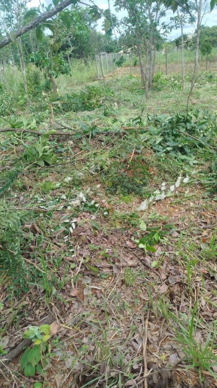 Lote, Zona Rural, 0 Quarto, 0 Vaga