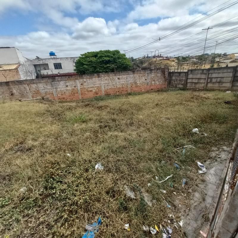 Lote, Bela Vista (parque Durval de Barros), 0 Quarto, 0 Vaga