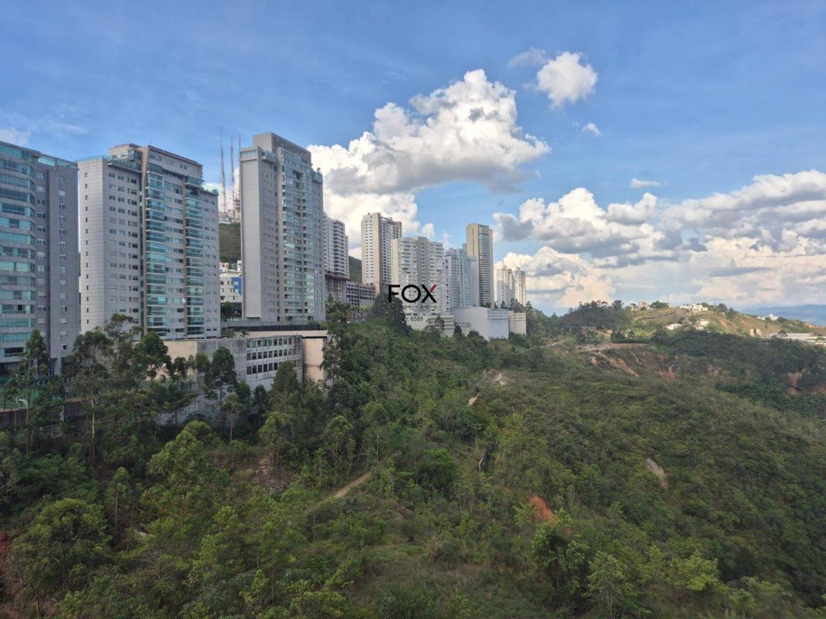 Apartamento, Vila da Serra, 2 Quartos, 2 Vagas, 1 Suíte