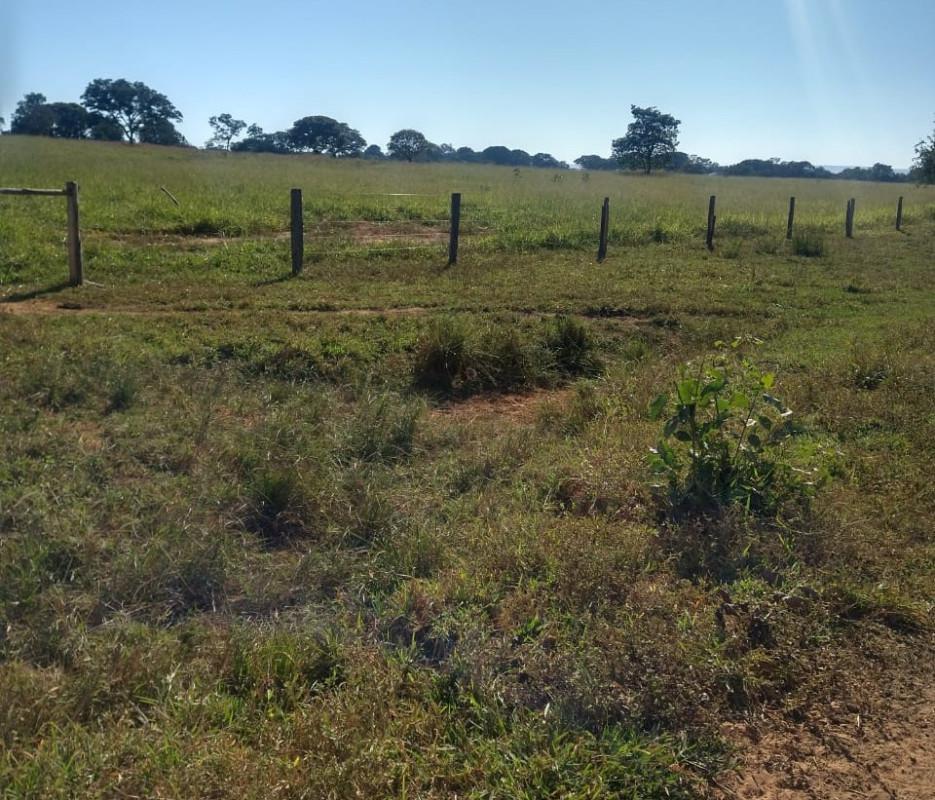 Fazenda, Zona Rural, 0 Quarto, 0 Vaga
