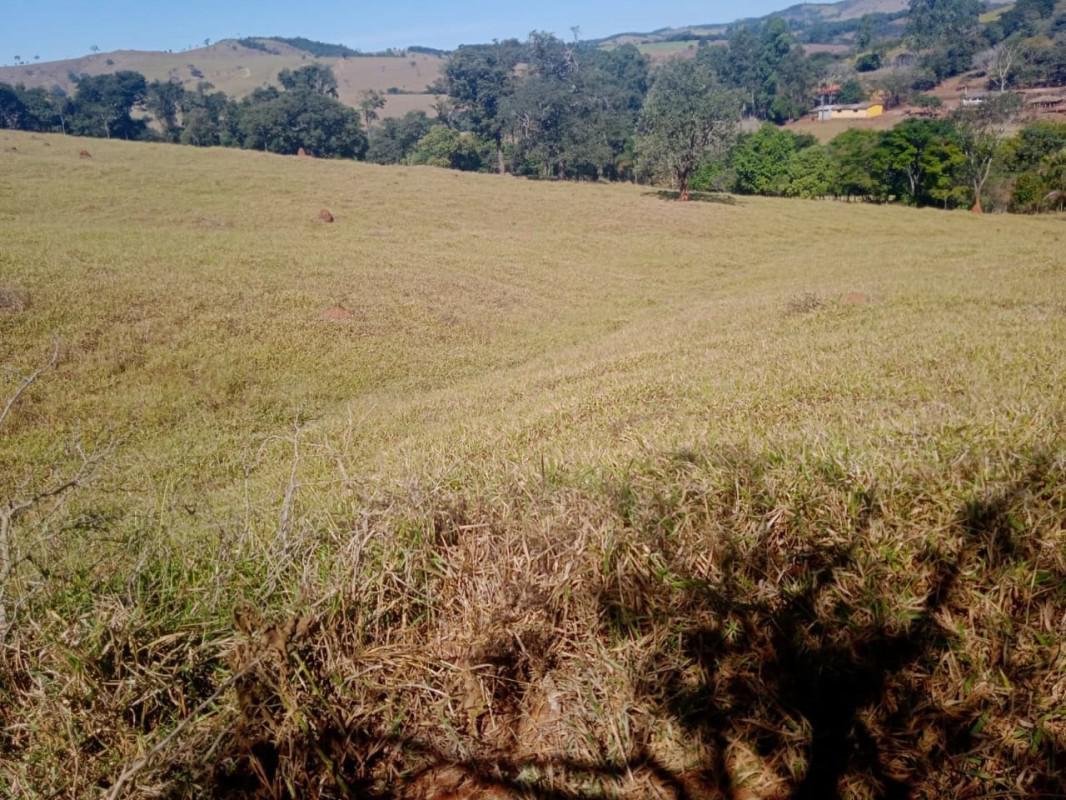 Fazenda, Centro, 0 Quarto, 0 Vaga