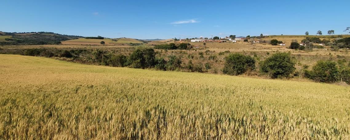 Fazenda, Zona Rural, 6 Quartos, 0 Vaga, 2 Suítes