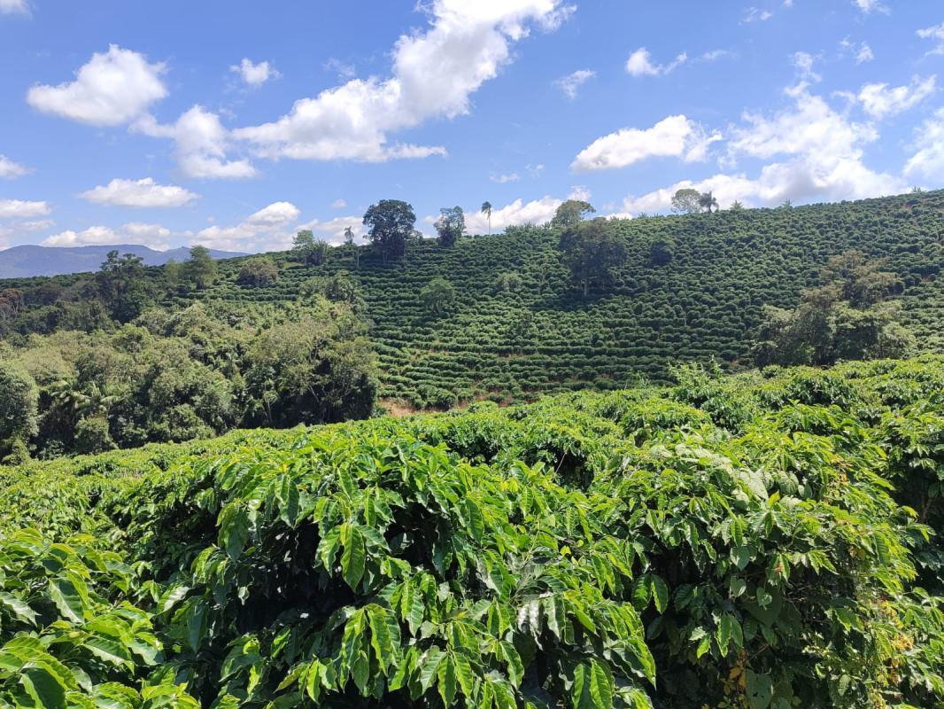 Fazenda, Zona Rural, 0 Quarto, 0 Vaga