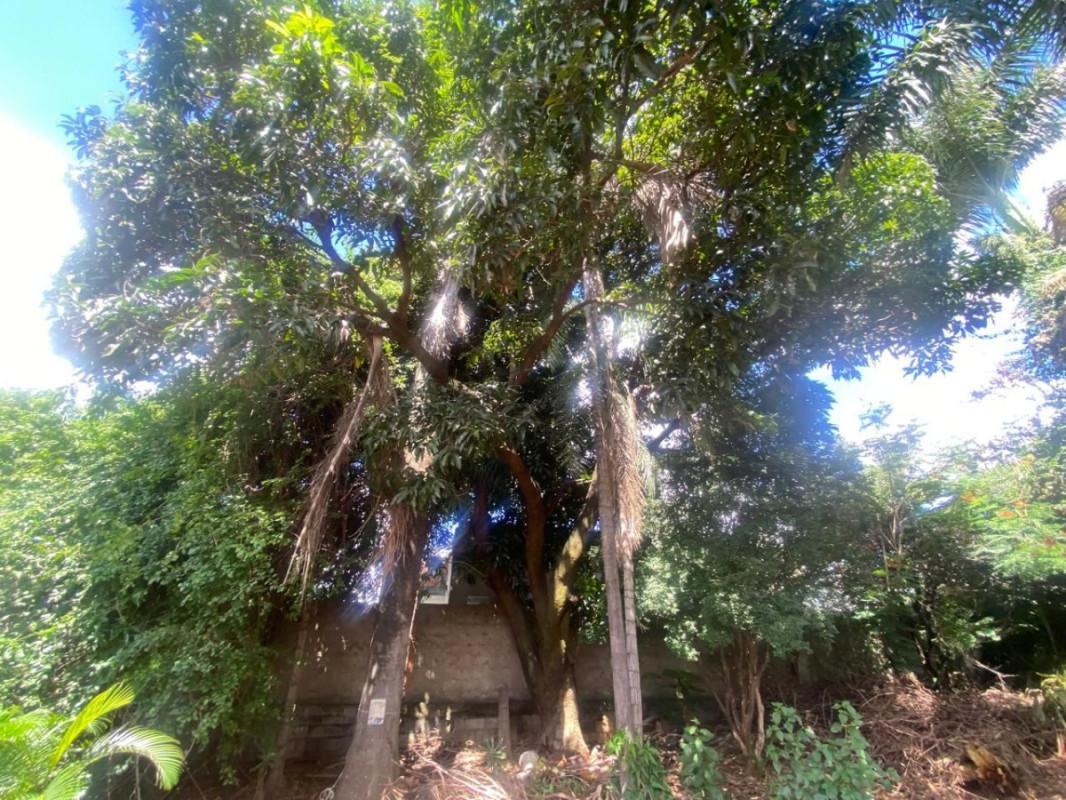 Apartamento, Progresso, 4 Quartos, 5 Vagas