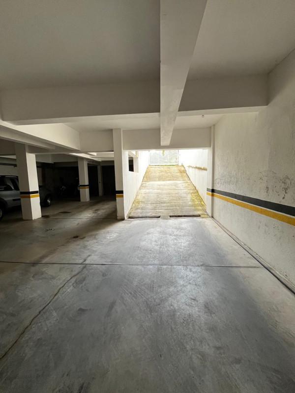 Apartamento, Palmeiras, 3 Quartos, 1 Vaga, 1 Suíte