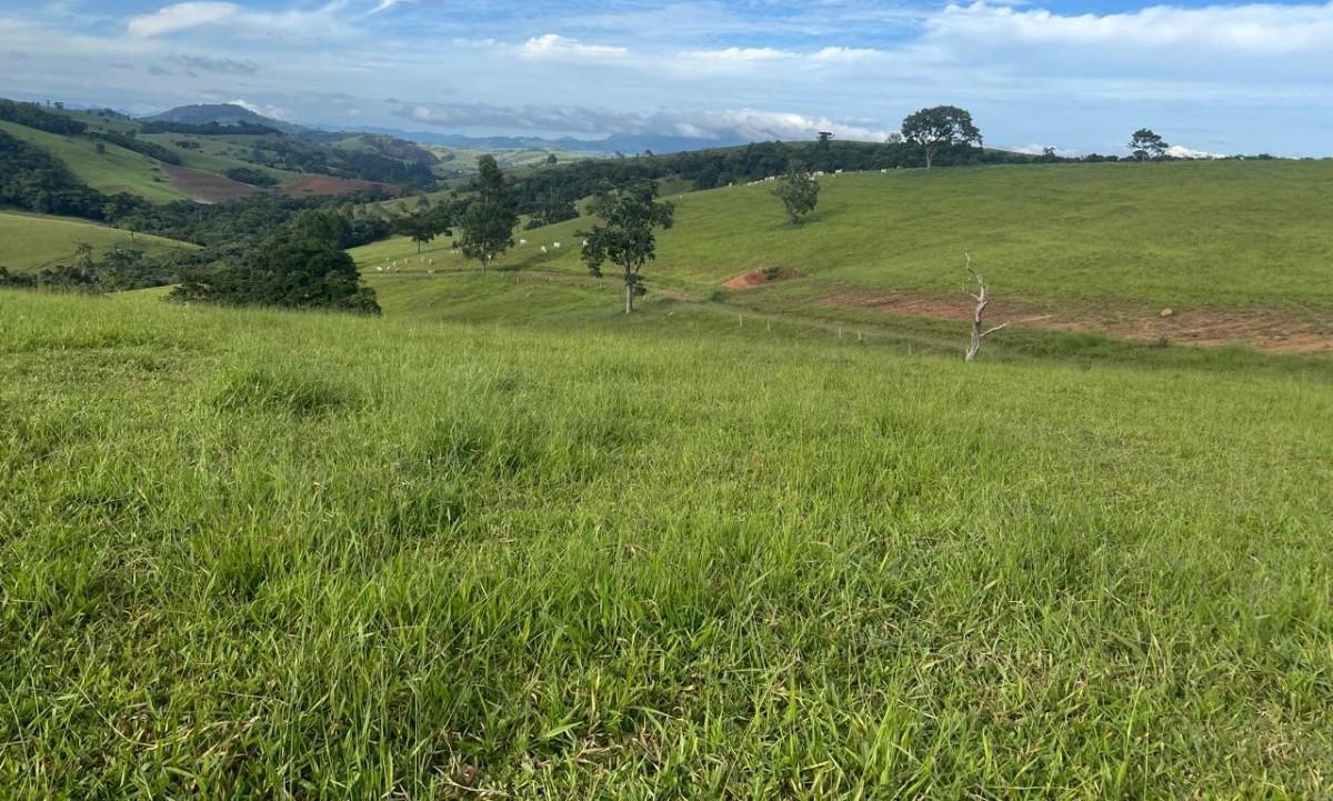 Fazenda, Zona Rural, 0 Quarto, 0 Vaga