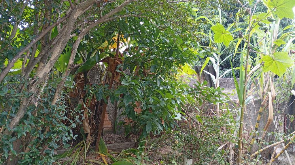 Casa, Nossa Senhora de Fátima, 4 Quartos, 0 Vaga