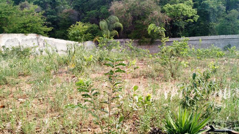Lote, Jacqueline, 1 Quarto, 0 Vaga