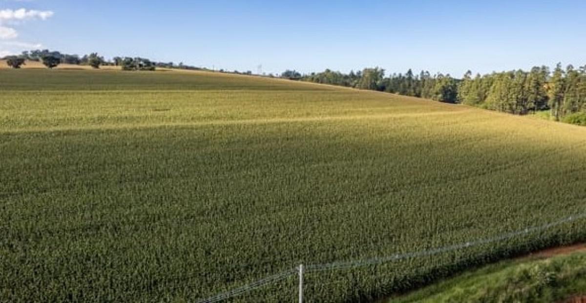 Fazenda, Zona Rural, 0 Quarto, 0 Vaga
