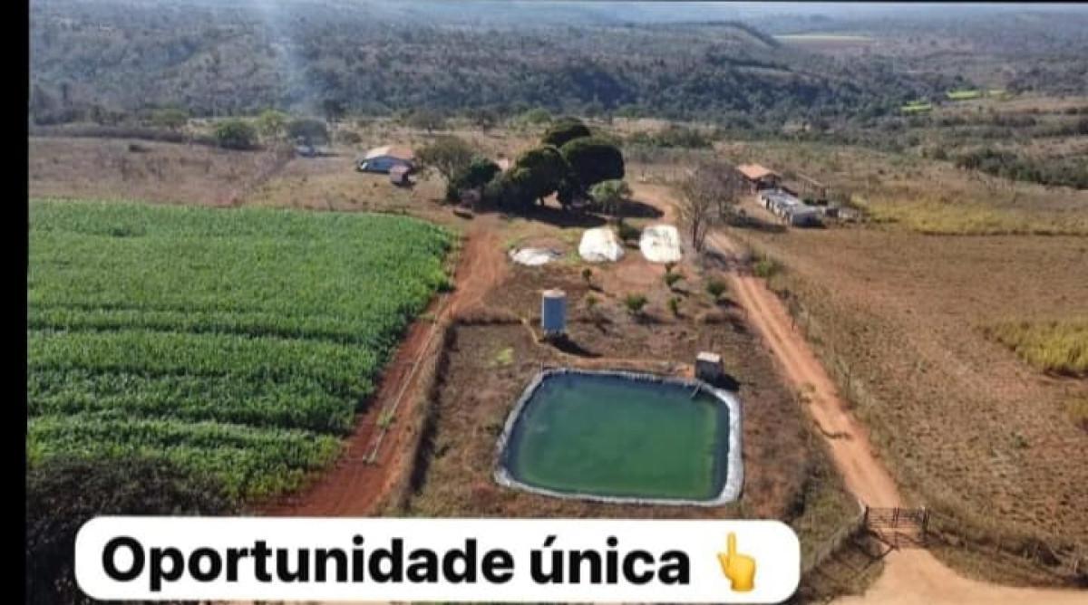 Fazenda, Centro, 3 Quartos, 0 Vaga