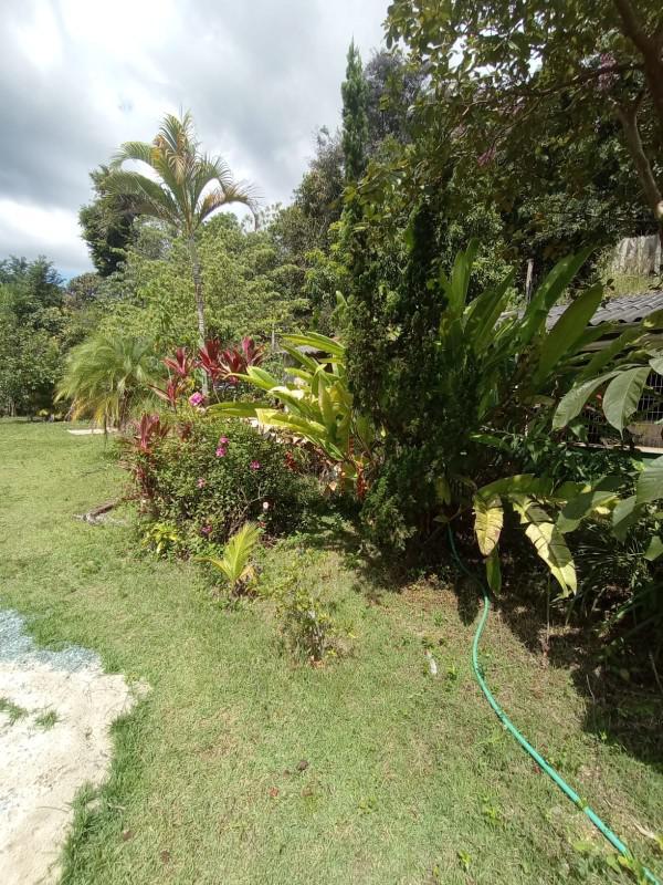 Fazenda, Macacos, 7 Quartos, 12 Vagas, 4 Suítes