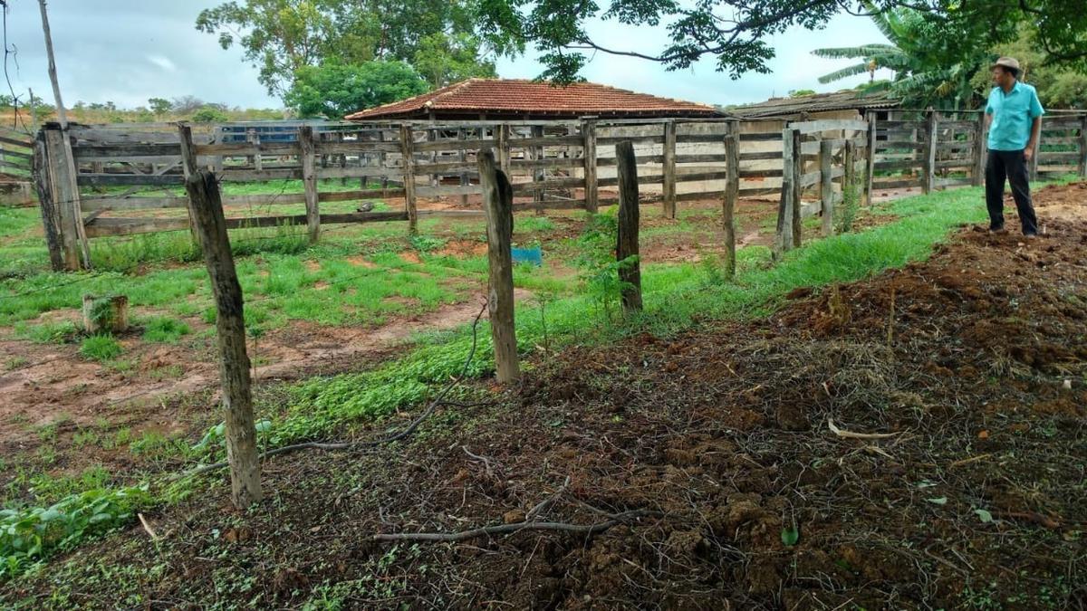 Fazenda, Centro, 3 Quartos, 0 Vaga
