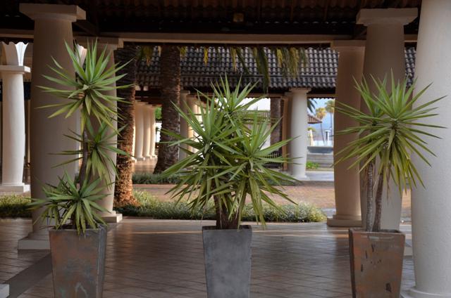 Sala, Alphaville - Lagoa dos Ingleses, 0 Quarto, 0 Vaga