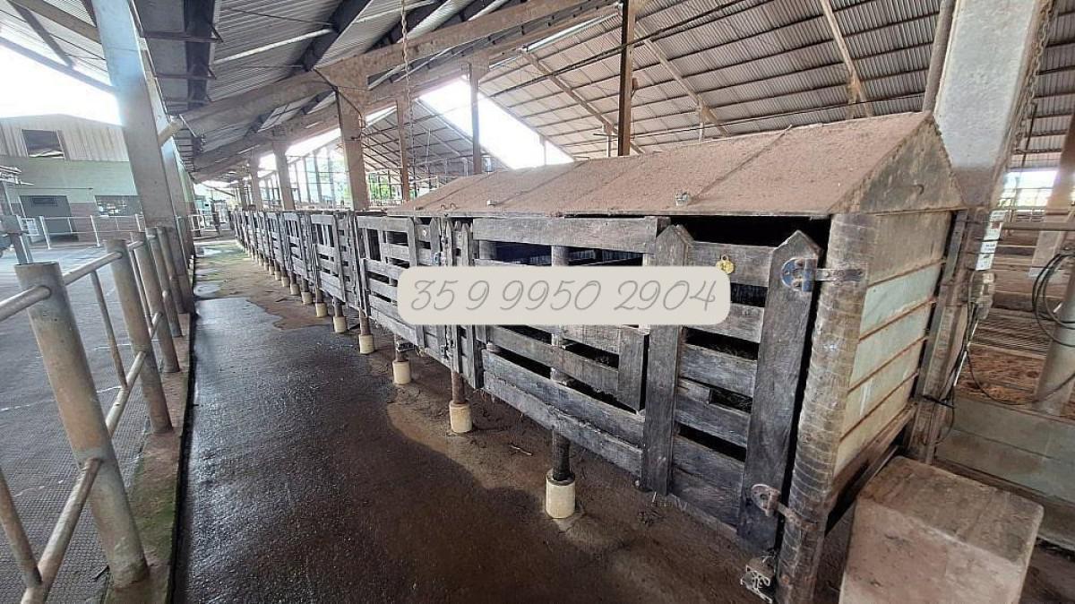 Fazenda, Zona Rural, 0 Quarto, 0 Vaga