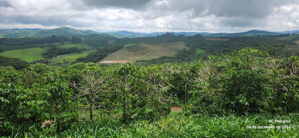 Fazenda, Centro, 2 Quartos, 1 Vaga, 1 Suíte