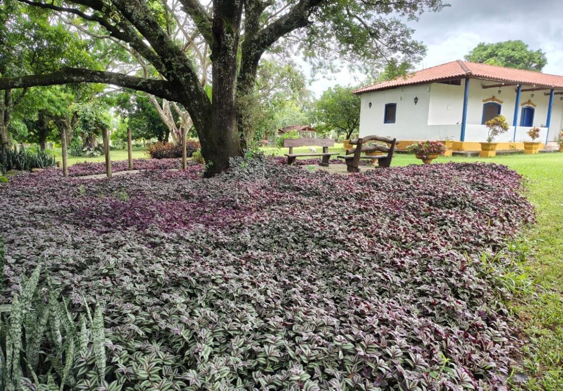 Fazenda, Zona Rural, 5 Quartos, 0 Vaga