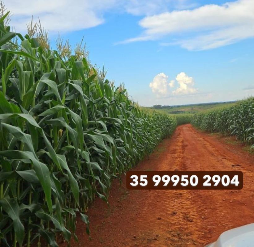 Fazenda, Zona Rural, 0 Quarto, 0 Vaga