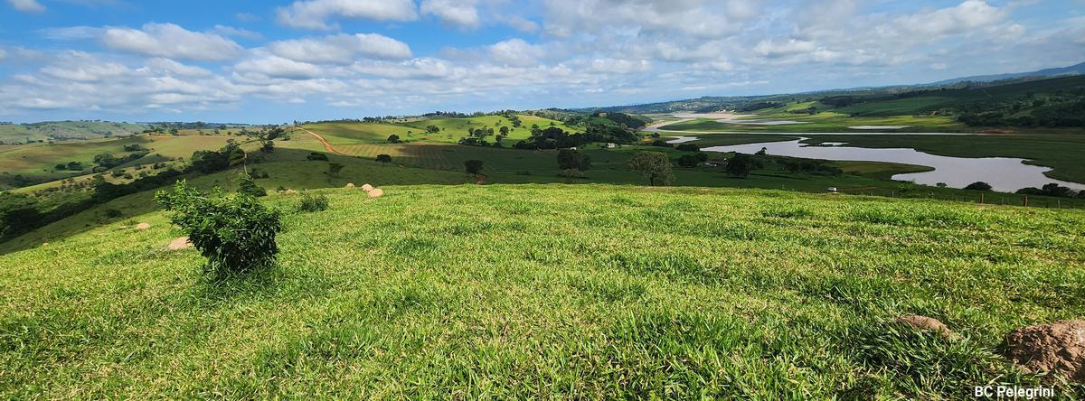 Fazenda, Zona Rural, 0 Quarto, 0 Vaga