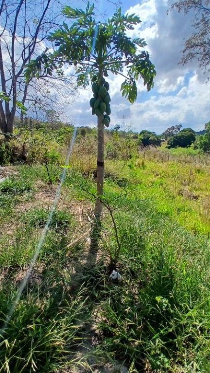 Fazenda, Ravena, 1 Quarto, 0 Vaga
