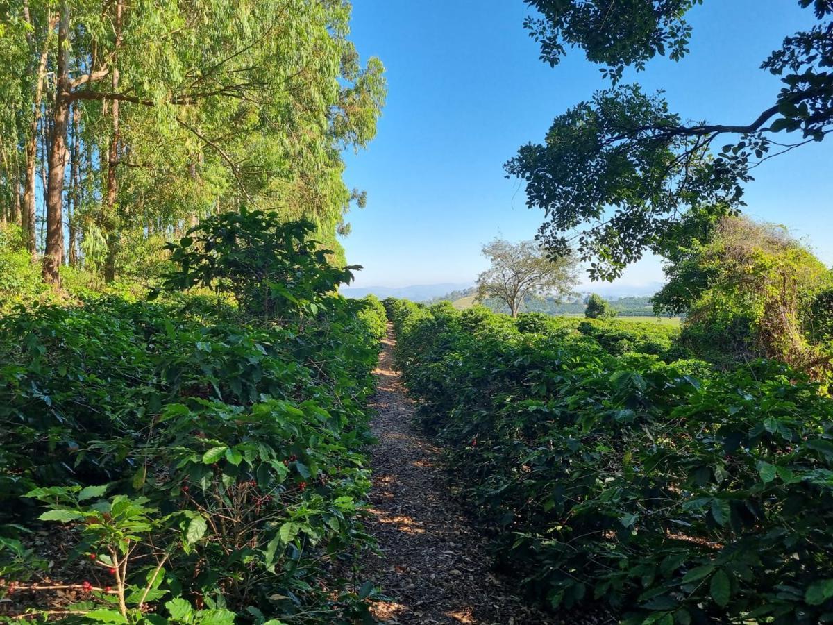 Fazenda, Zona Rural, 0 Quarto, 0 Vaga
