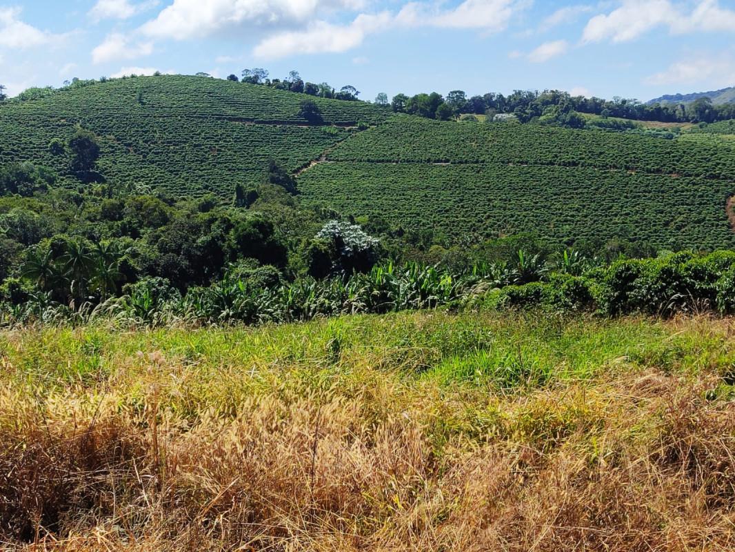 Fazenda, Zona Rural, 0 Quarto, 0 Vaga
